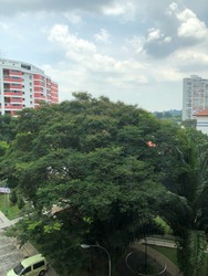 Blk 6 Toh Yi Drive (Bukit Timah), HDB Executive #181247772